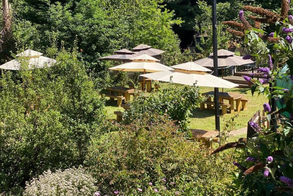 Martin Mill 17Th Century Boutique Getaway In The Countryside 아파트 외부 사진